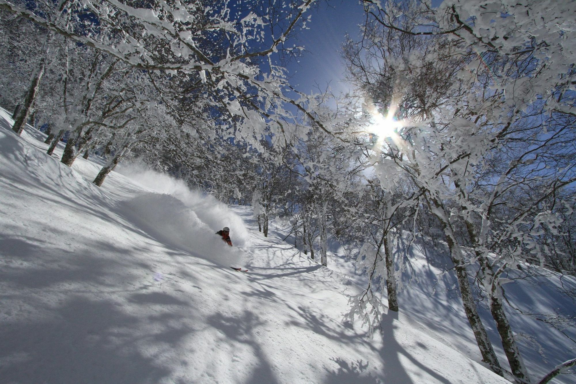 Hakuba Powder Lodge Exterior foto